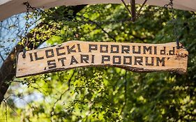 Hotel Stari Podrum